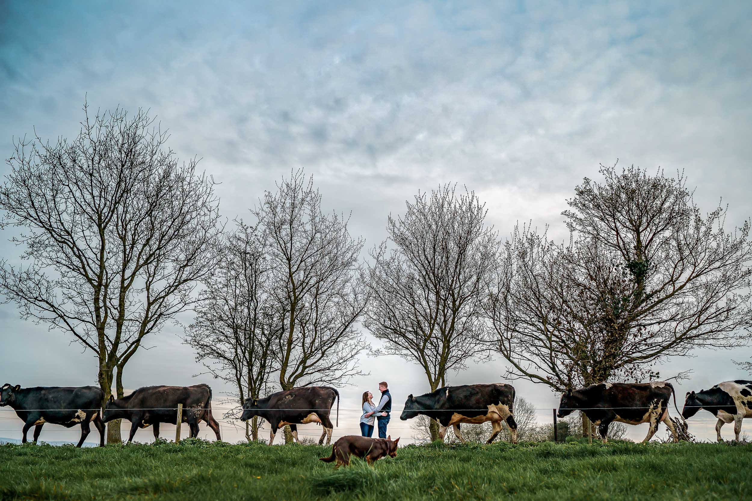 Herefordshire, Wedding, Photographer, David, Liebst, Hereford, Weddings, Photography, Photographers, Engagement, shoot, West Midlands