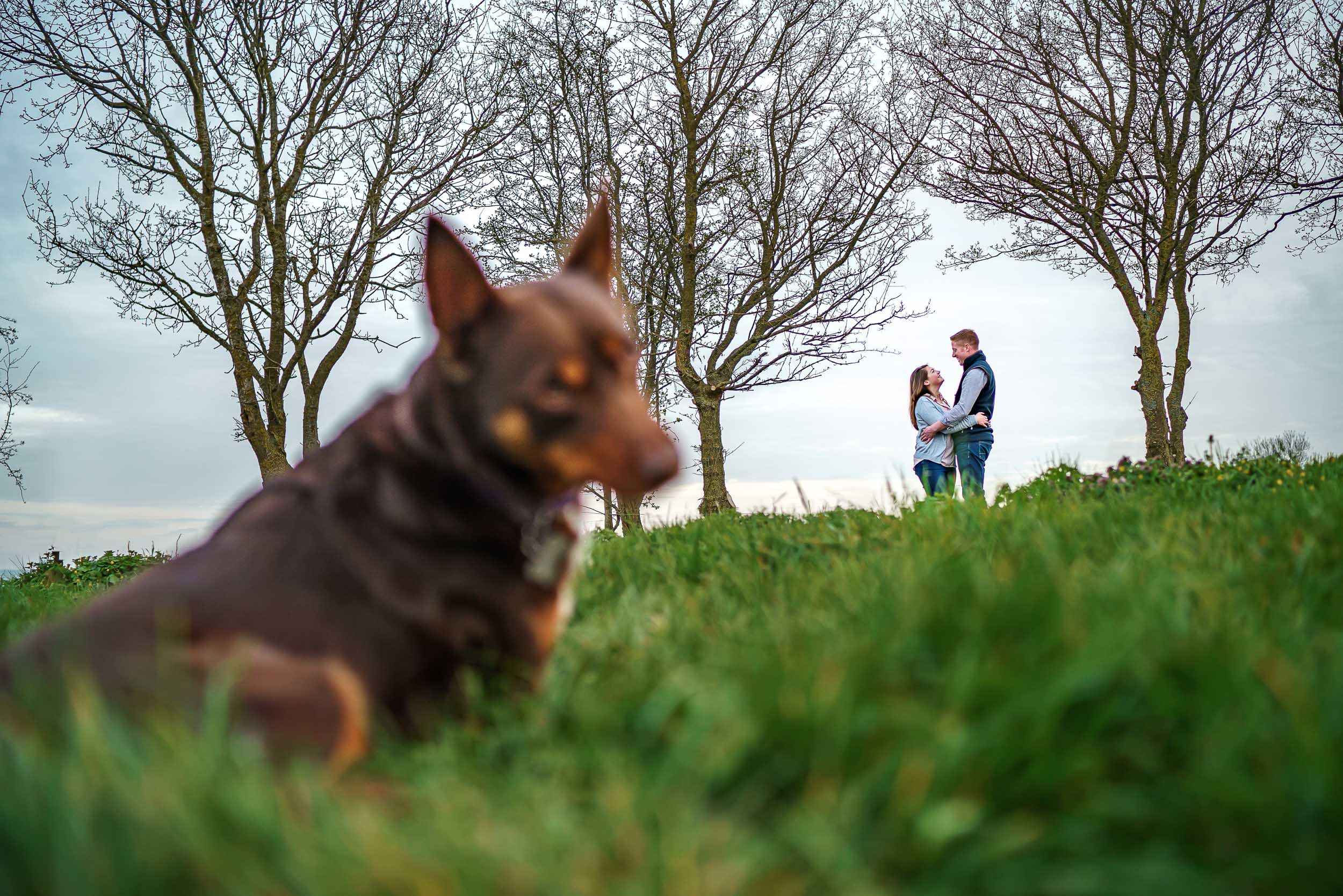 Herefordshire, Wedding, Photographer, David, Liebst, Hereford, Weddings, Photography, Photographers, Engagement, shoot, West Midlands