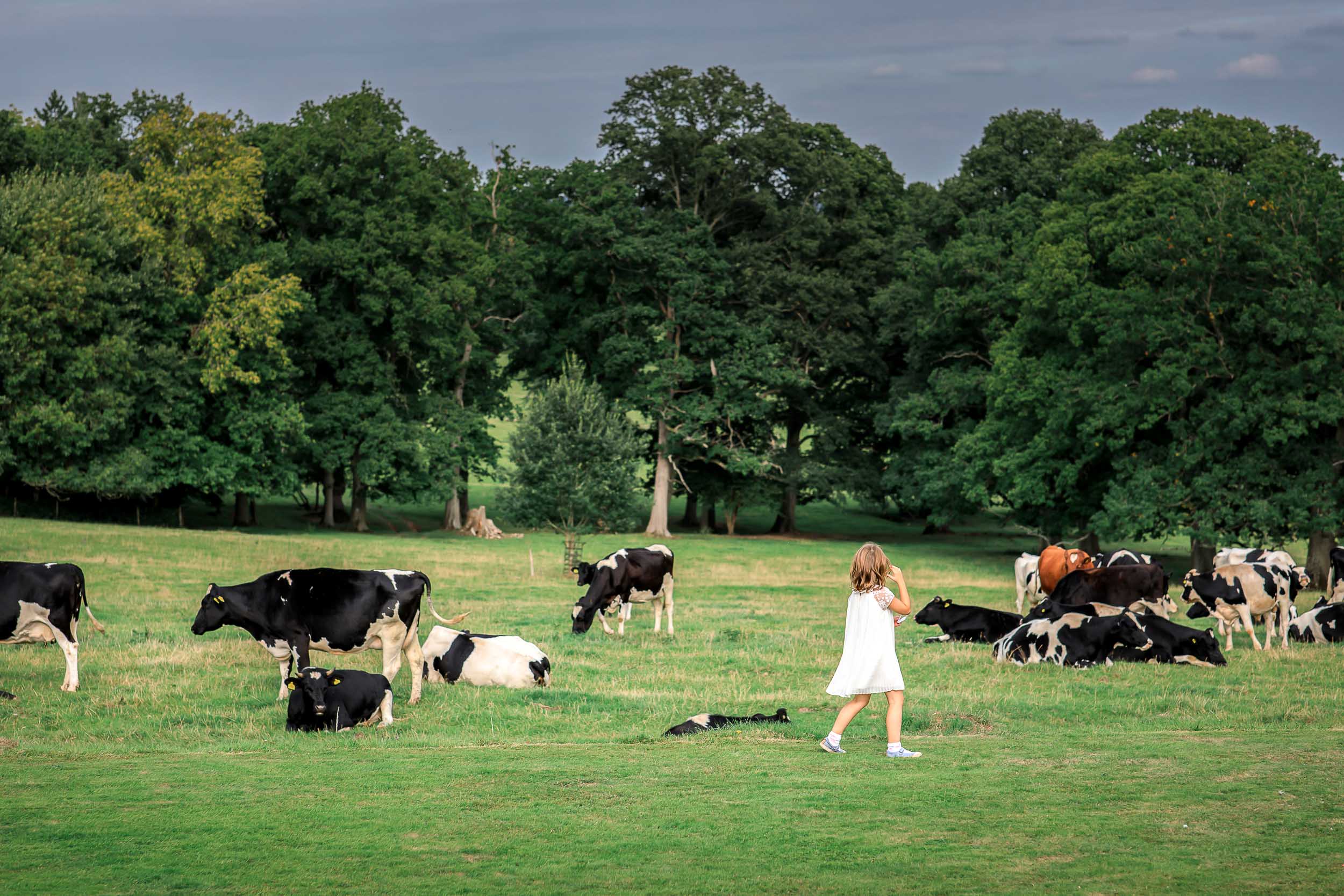 Whitney, Court, Estate, Herefordshire, Wedding, photographer, Weddings, Whitney Court,