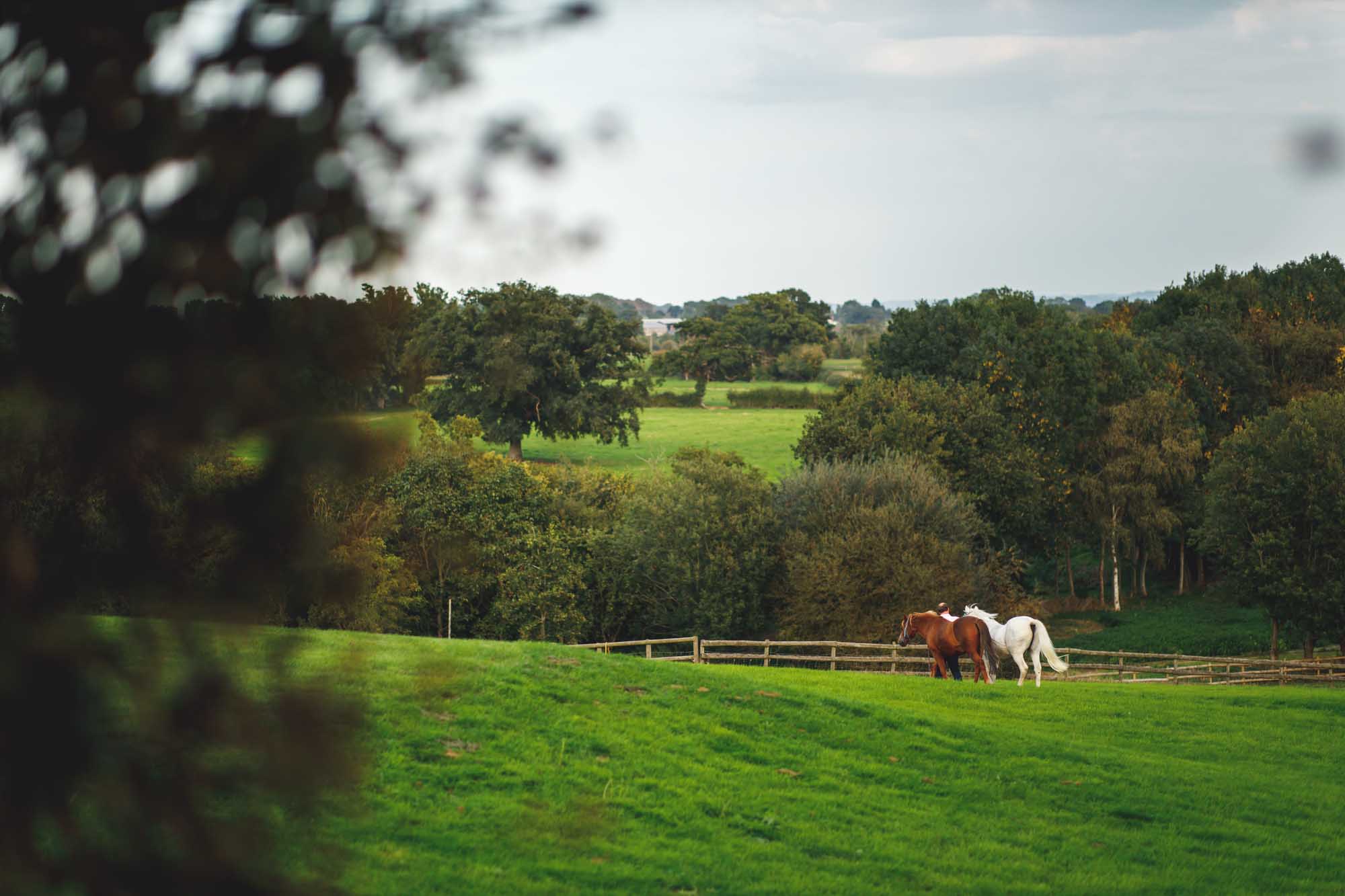 A wedding at Pauntley Court Redmarley D'Abitot, Gloucester