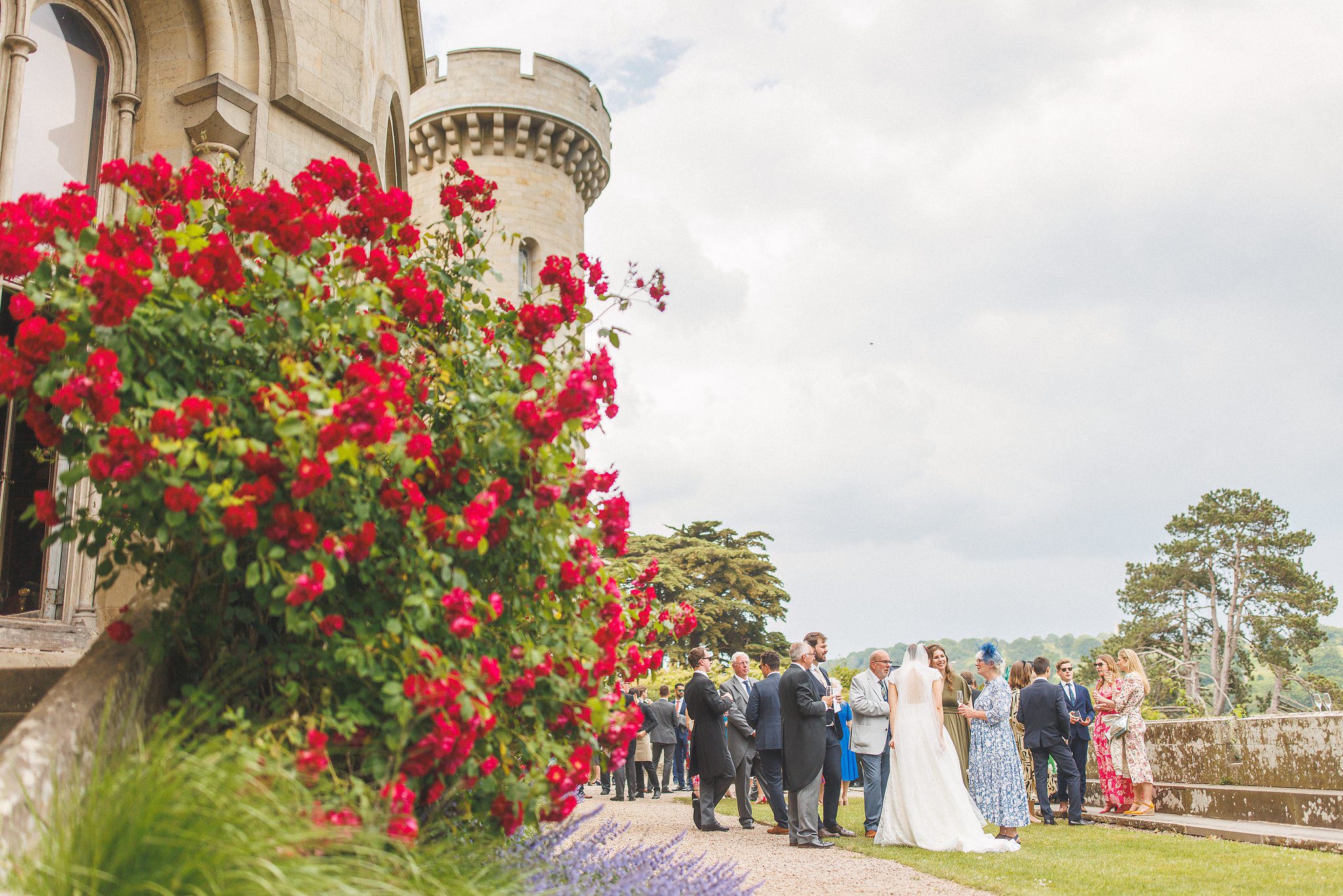 The drinks reception beside the roses on the terrace